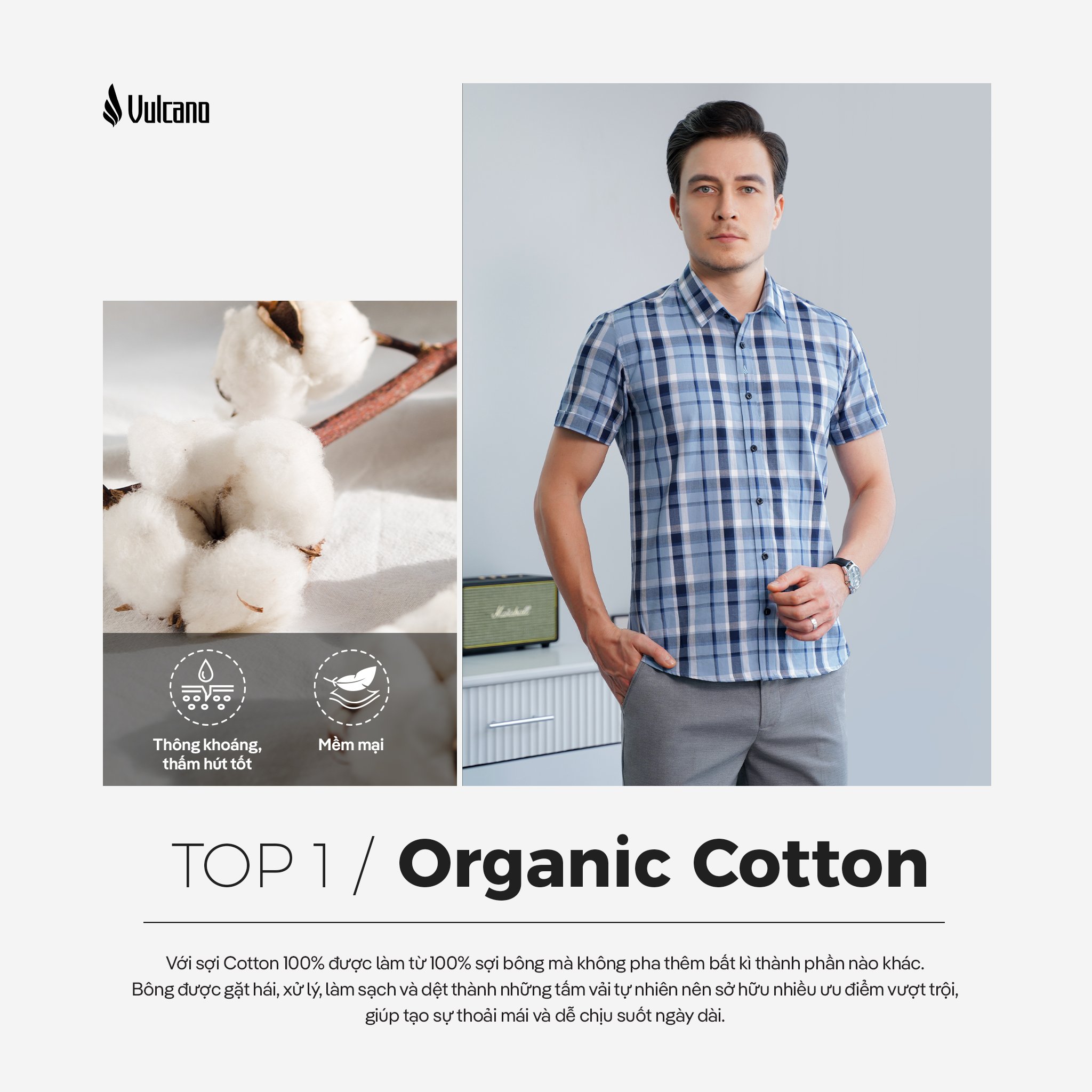 organic-cotton.jpg