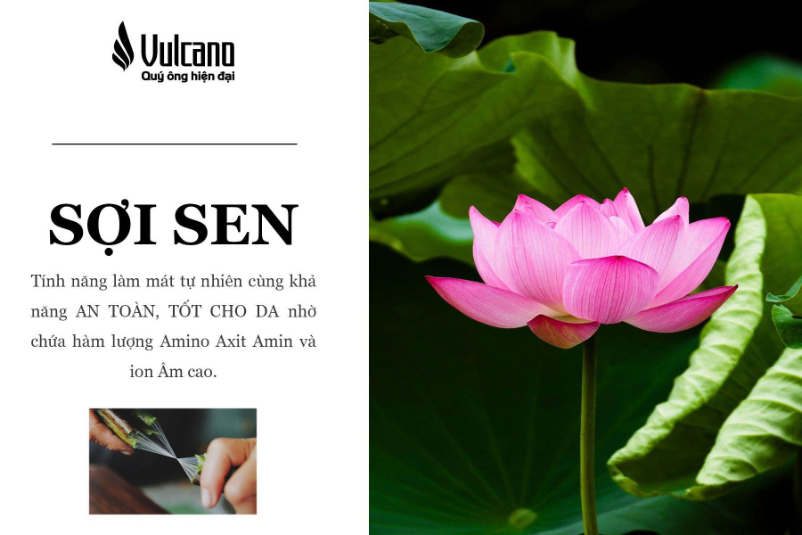 Vải Sợi Sen - Bước Đột Phá Cho Thời Trang Nam