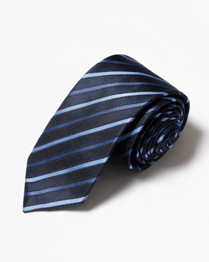 Cà Vạt Nam Màu Xanh Tím Than 3012A