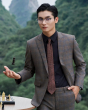 Áo Vest Nam 3004 Nâu