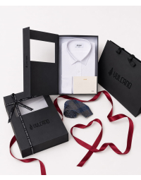 [Gift Set] Áo sơ mi nam dài tay A1-1 + Cà vạt + Hộp quà và thiệp