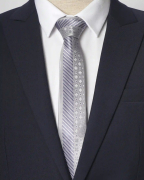 Cà Vạt Nam Màu Xám 4031A