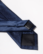 Cà Vạt Nam Màu Xanh Đen 3005A